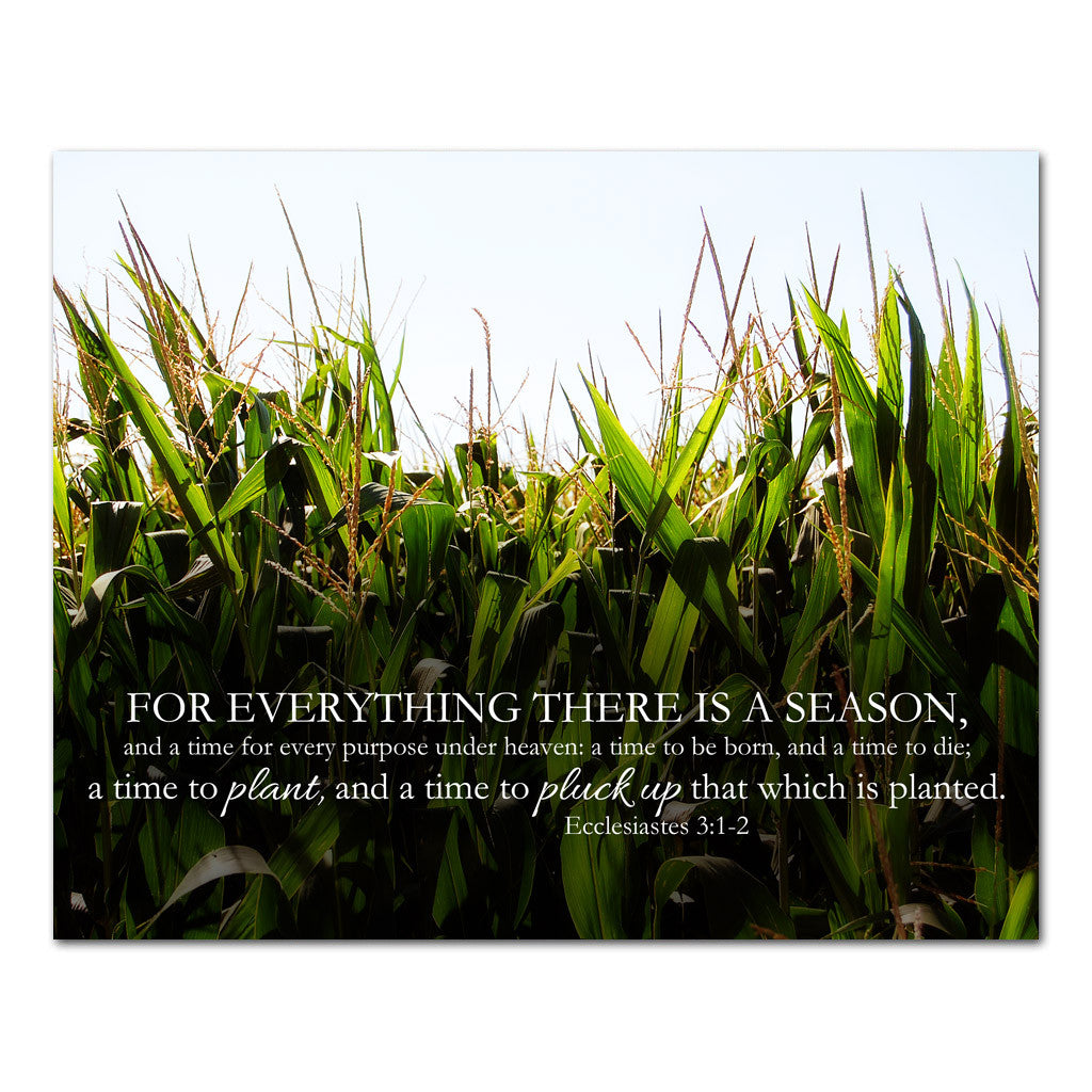 for everything there is a season farming scripture art
