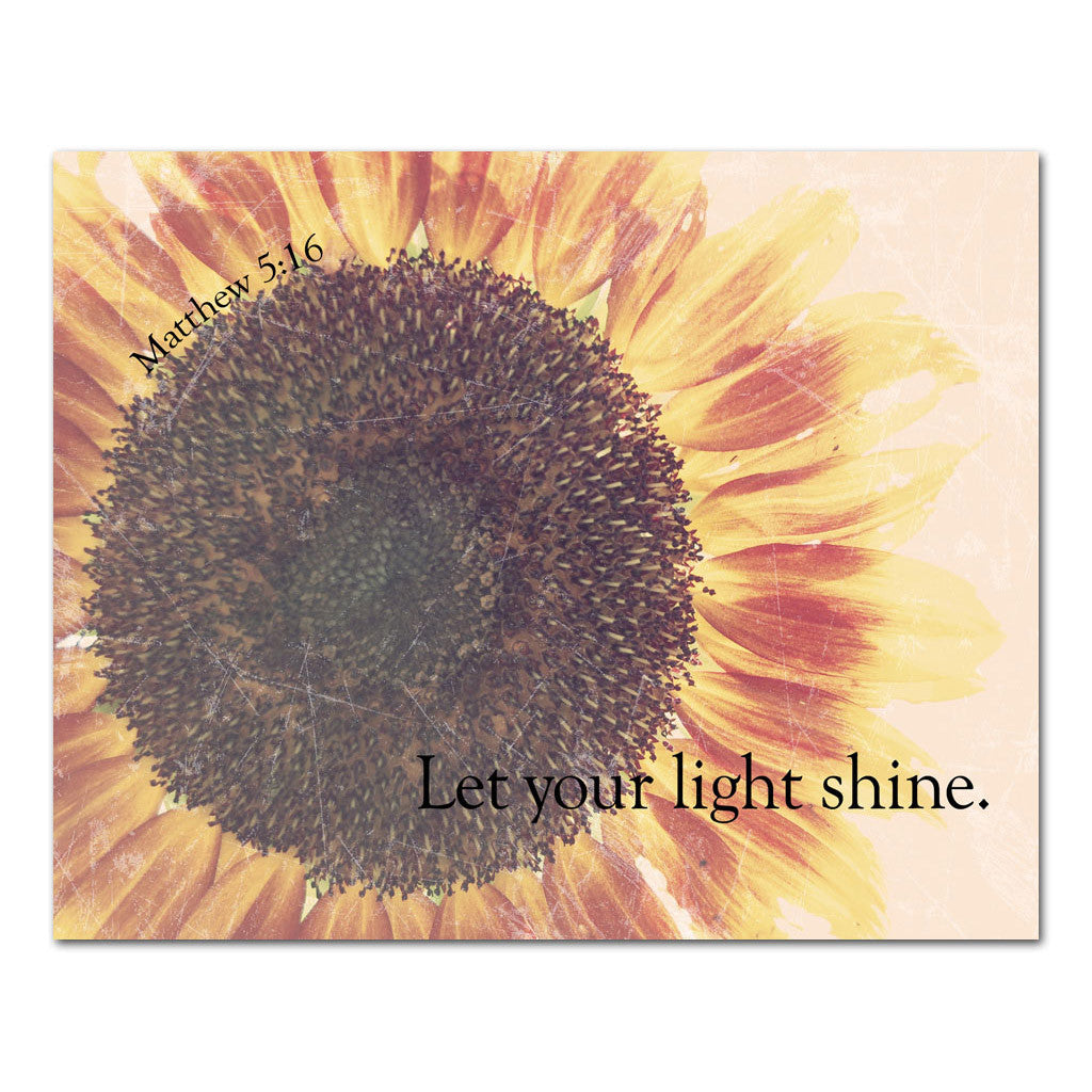 Let Your Light Shine